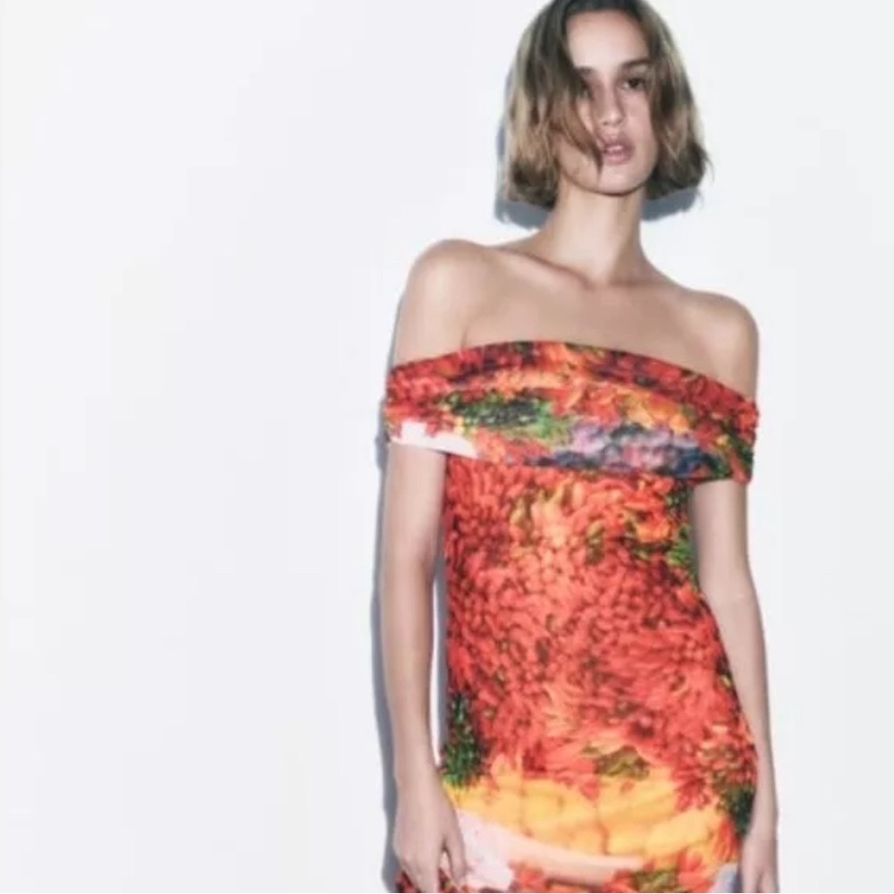 ZARA BLOGGERS FAV ALL OVER PRINT MIDI / MAXI DRESS  Rare Small Fruit